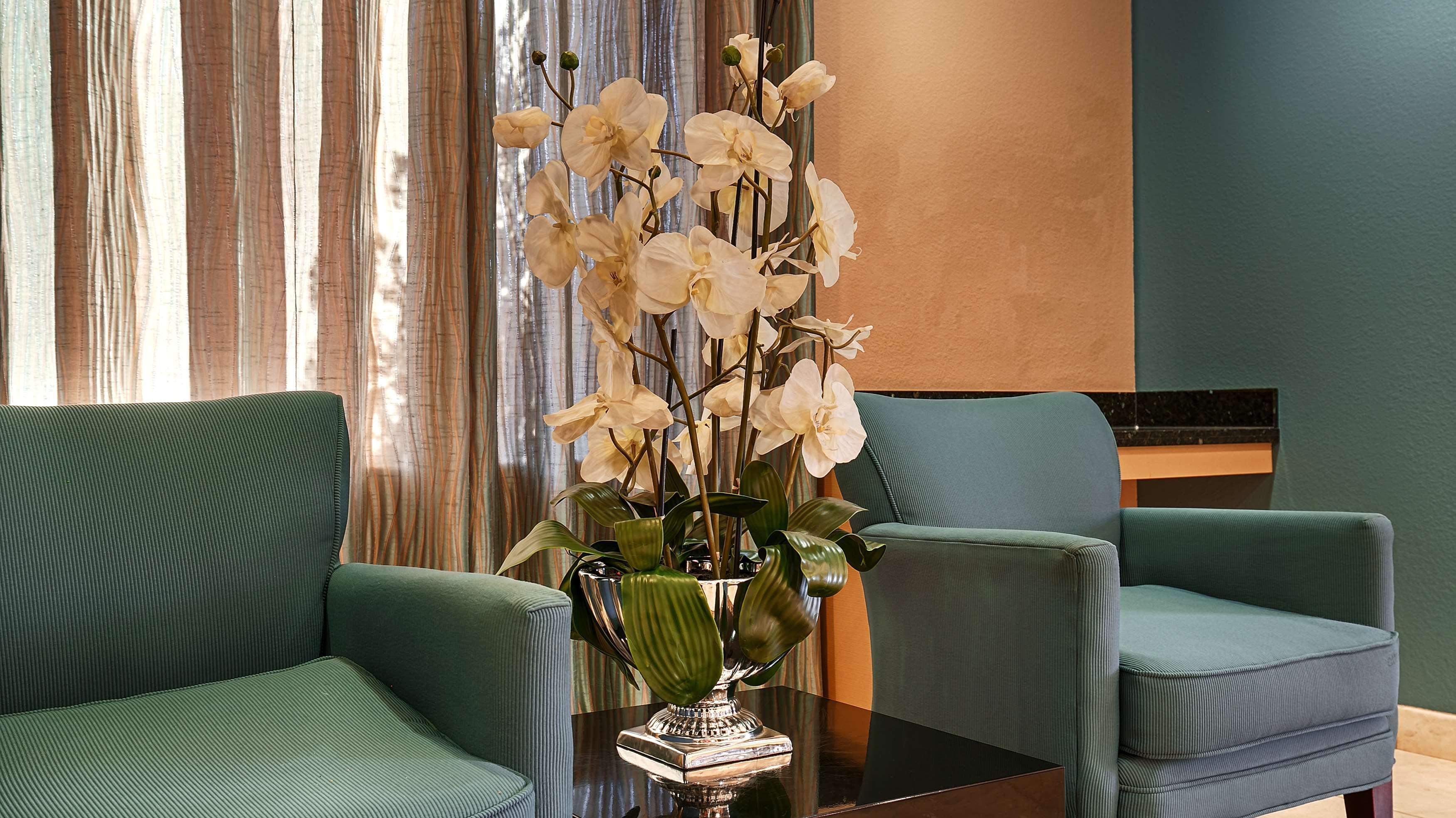 Best Western Sonora Inn & Suites Νογκάλες Εξωτερικό φωτογραφία
